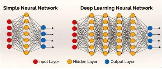 Neural Network Architecture