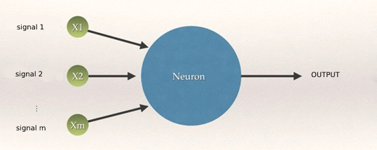Architecture Neural Network