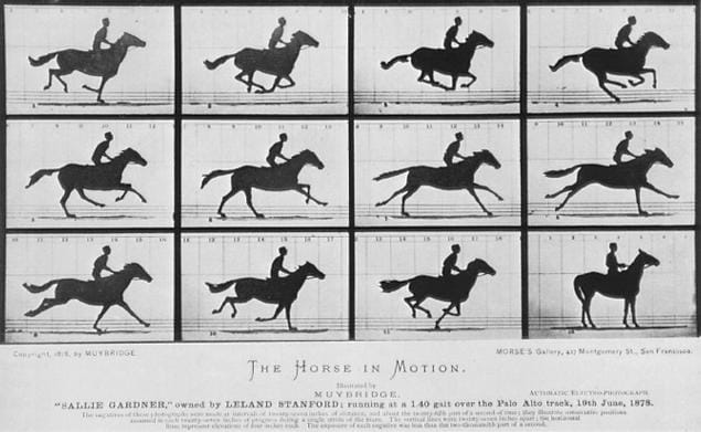 animation galloping horse
