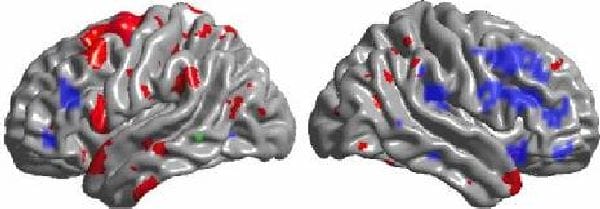 brain functions brain functions