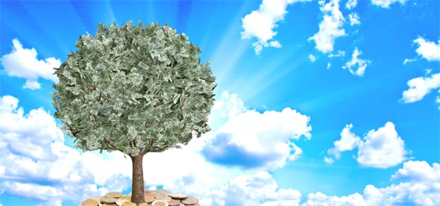 dp tree money dp tree money