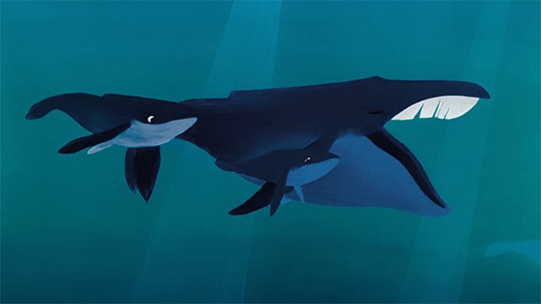 ‘The Bird & the Whale’ Tells a Short and Sweet Tale Using Paint-on-Glass Animation