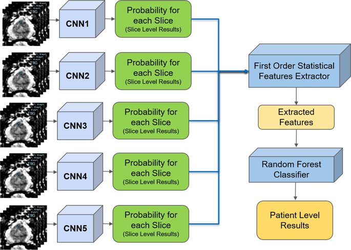 Prostate Cancer Detection using Deep Convolutional Neural Networks